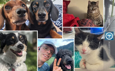 The Pets Behind the Targa Team